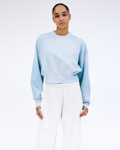Crop Crew Neck | Vintage Sky